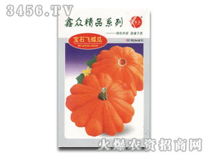 飞蝶瓜怎么吃,解锁美味新体验