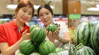 上海美女吃蜜瓜,蜜瓜盛宴中的时尚风情